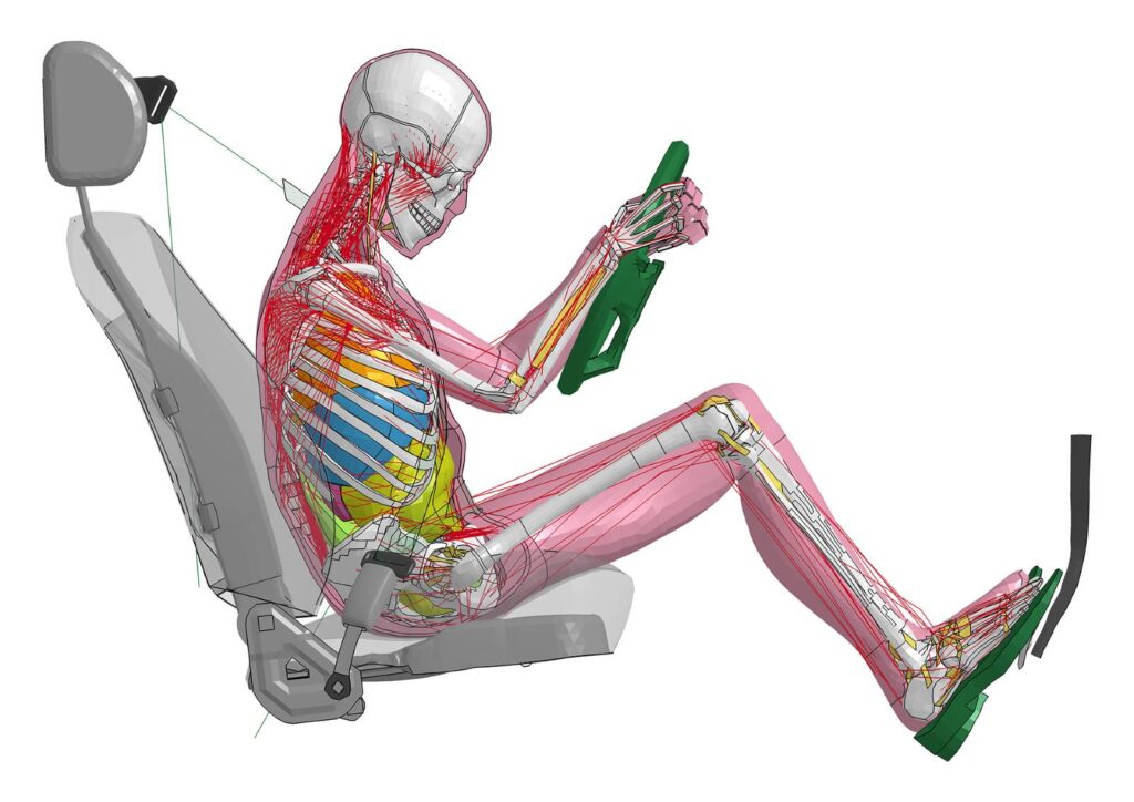 Una immagine della postura di un guidatore di un auto in trasparenza, con l'apparato scheletrico e interno. 